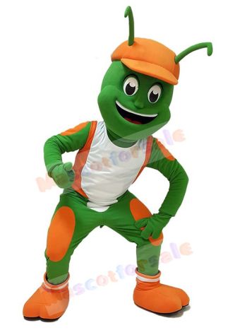 Insect mascot costume