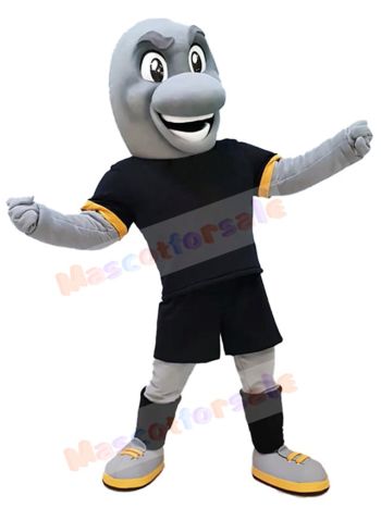 Dolphin mascot costume