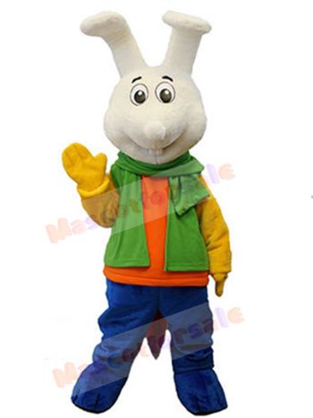 Bunny Rabbit mascot costume