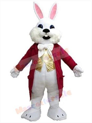 Easter Bunny Rabbit mascot costume
