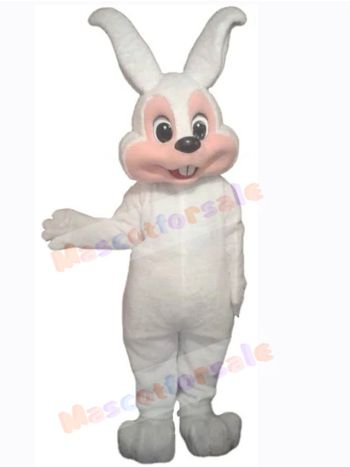 Easter Bunny Rabbit mascot costume