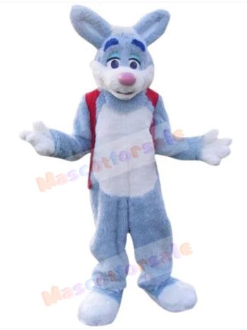Easter Bunny Rabbit mascot costume