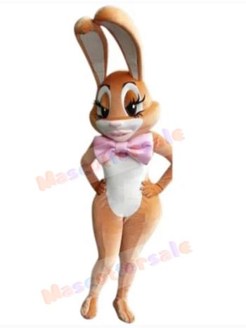 Easter Bunny Rabbit mascot costume
