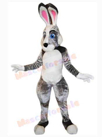 Easter Bunny Rabbit mascot costume