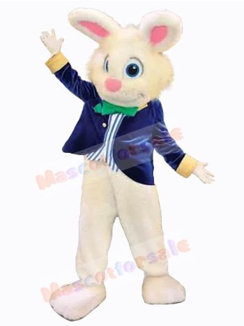 Easter Bunny Rabbit mascot costume