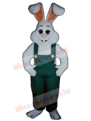 Easter Bunny Rabbit mascot costume