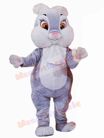 Easter Bunny Rabbit mascot costume