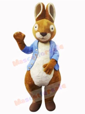 Easter Bunny Rabbit mascot costume