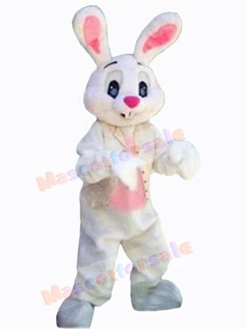 Easter Bunny Rabbit mascot costume