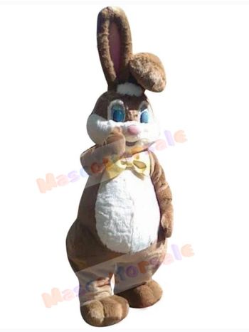 Easter Bunny Rabbit mascot costume