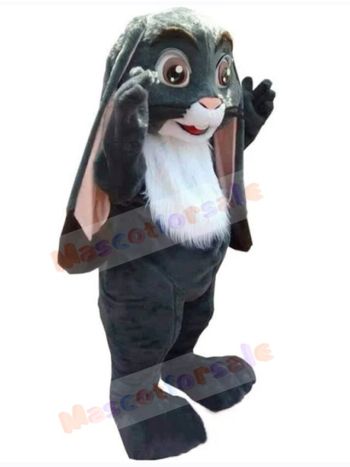 Easter Bunny Rabbit mascot costume