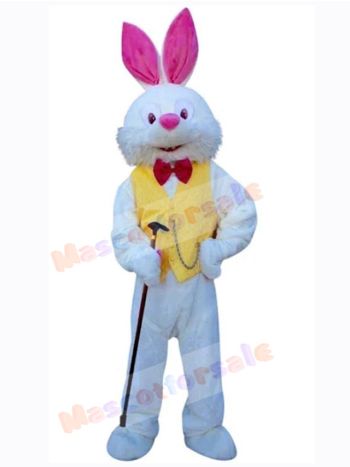 Easter Bunny Rabbit mascot costume