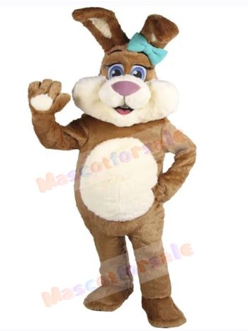 Easter Bunny Rabbit mascot costume