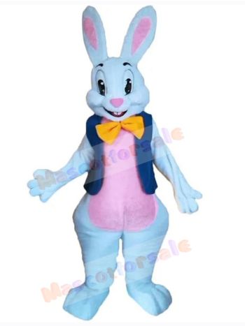 Easter Bunny Rabbit mascot costume