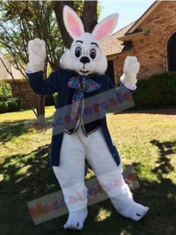 Easter Bunny Rabbit mascot costume