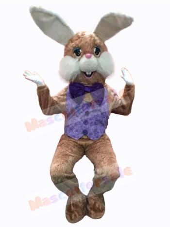 Easter Bunny Rabbit mascot costume