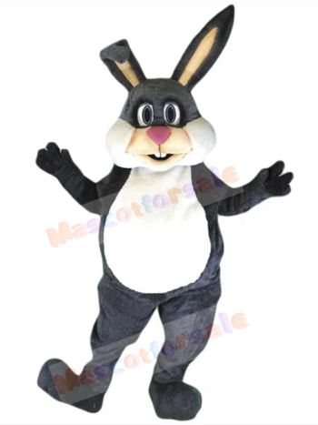 Easter Bunny Rabbit mascot costume