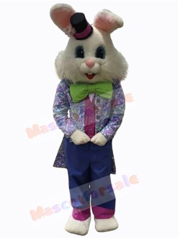 Easter Bunny Rabbit mascot costume