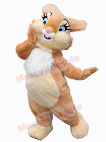 Easter Bunny Rabbit mascot costume
