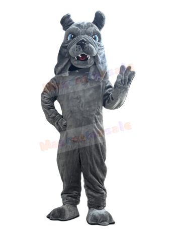 Bulldog mascot costume