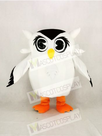 Cute White Owl Mascot Costume Cartoon