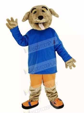 Long-haired Dog with Blue Coat Mascot Costume Animal