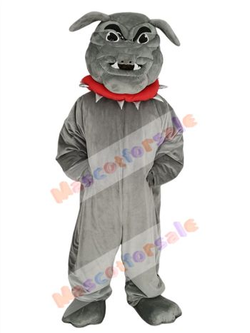 Bulldog mascot costume