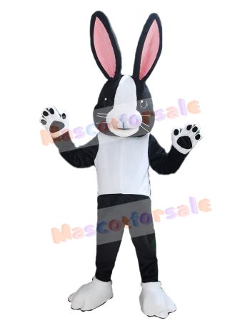 Easter Bunny Rabbit mascot costume