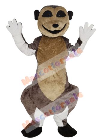 Meerkat mascot costume