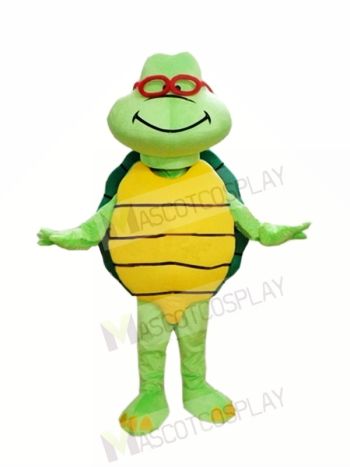 Cheap Green Turtle Custom Mascot Costumes 