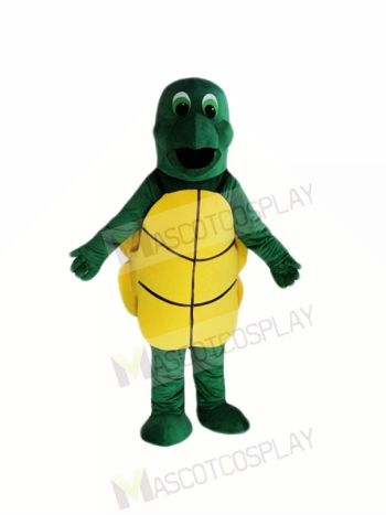 Little Green Tortoise Mascot Costumes 