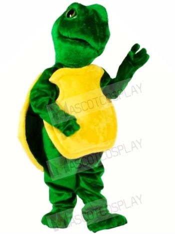Turtle Mascot Costumes Free Shipping 