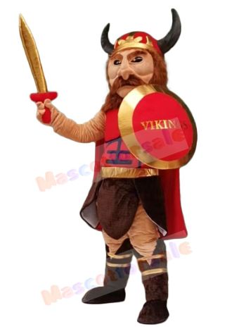 Viking Pirate mascot costume