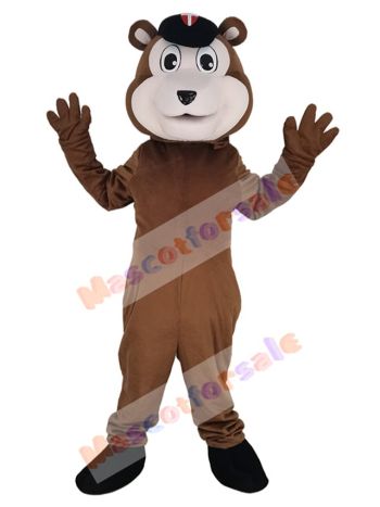 Bear mascot costume