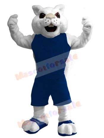 Squirrel mascot costume