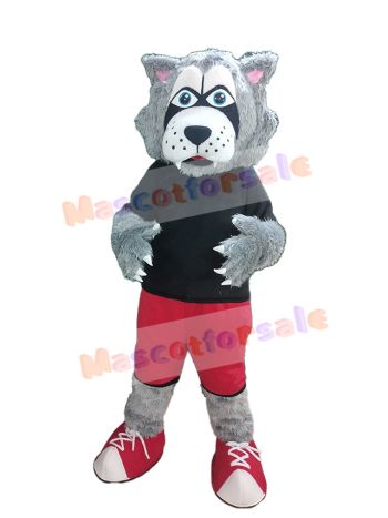 Wolf mascot costume