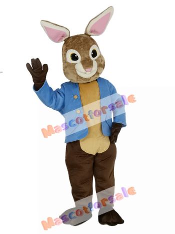Brown and Gray Peter Rabbit Mascot Costume