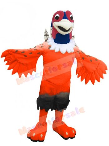 Pheasant mascot costume