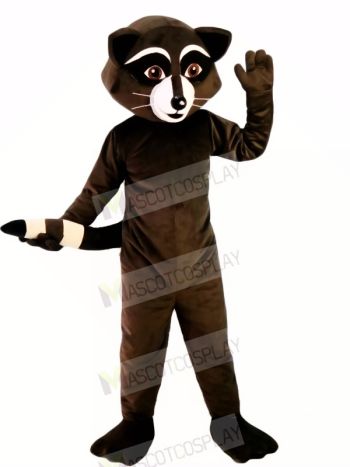 Wild Black Racoon Mascot Costumes Cartoon