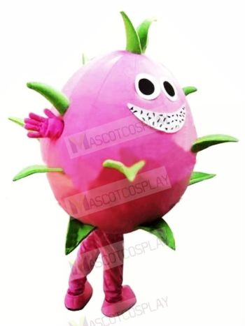 Dragon Fruit Pitaya Mascot Costume Cartoon