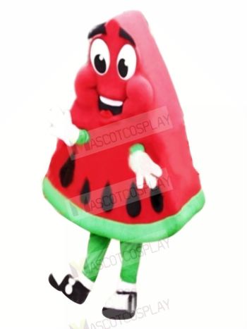 High Quality Watermelon Mascot Costume Cartoon