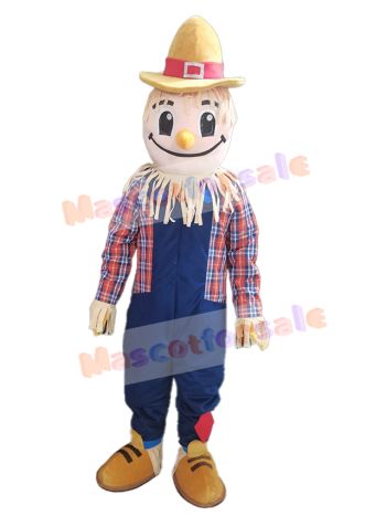 Man mascot costume