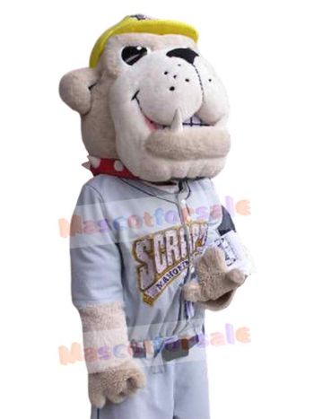 Dog mascot costume