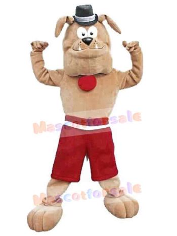 Dog mascot costume