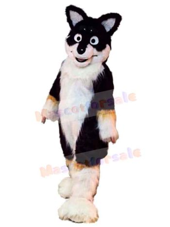 Dog mascot costume