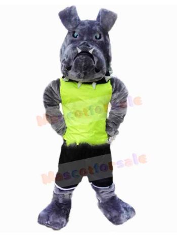Dog mascot costume