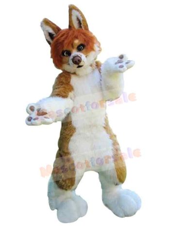Dog mascot costume