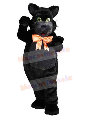 Cat mascot costume