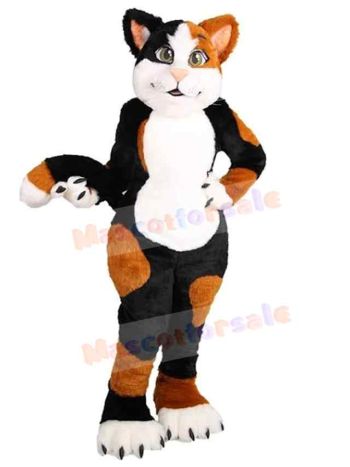 Cat mascot costume
