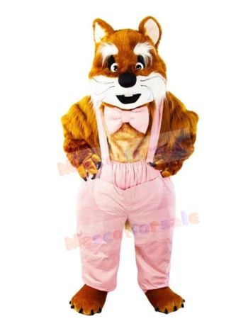 Cat mascot costume